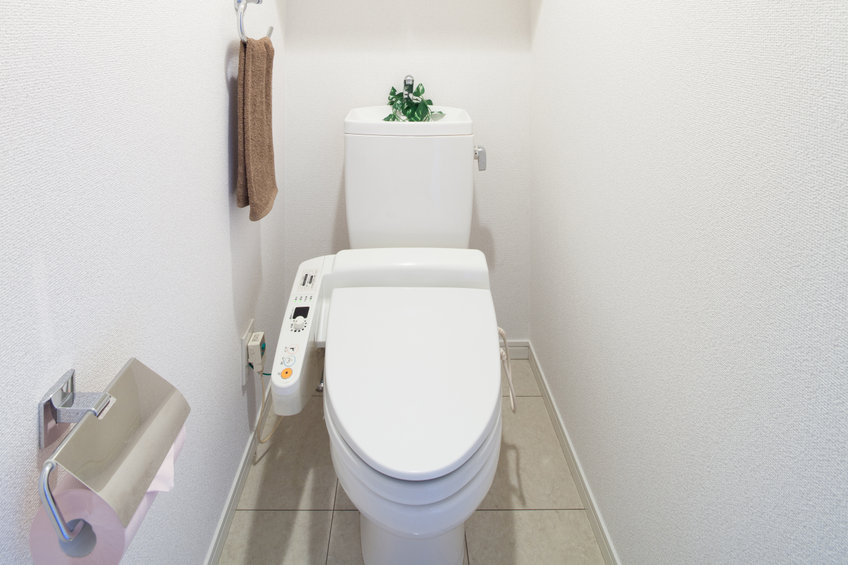 Bien choisir son WC japonais : l'essentiel à prendre en compte - Salle de  bain avenue